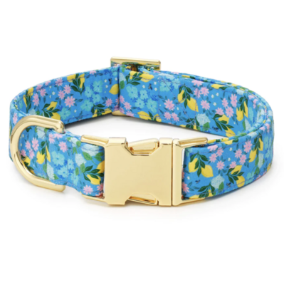Foggy Dog Bees in Bloom Simplified® Dog Collar