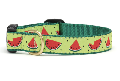 Up Country One in a Melon Dog Collar