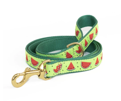 Up Country One in a Melon Dog Lead
