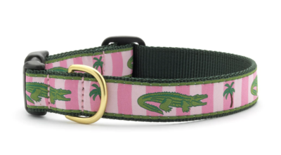 Up Country Alligator Dog Collar