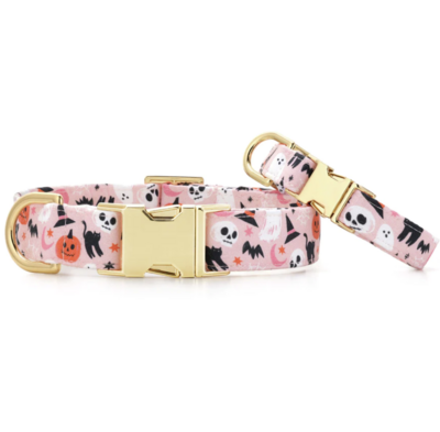 Foggy Dog Bewitched Dog Collar