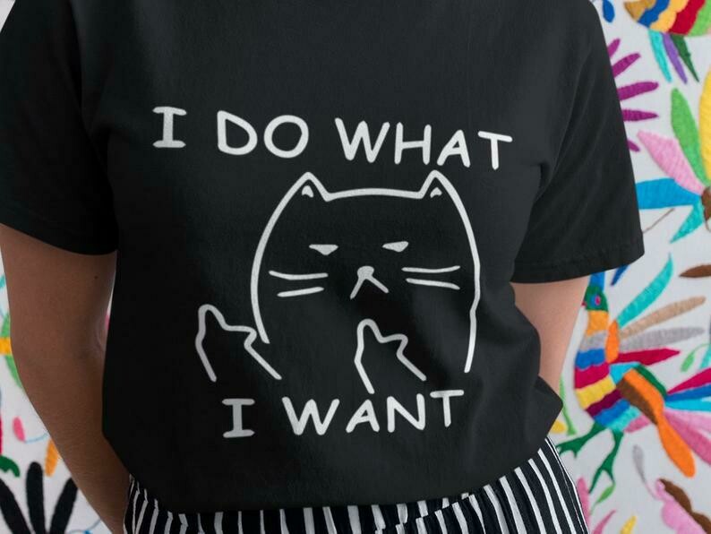 I Do What I Want, Funny Cat Shirt, Cat Lover Shirt, Crazy Cat Lady Shirt, Black Cat Shirt, Cat Vintage, Retro Vintage Shirt, Cat Rainbow