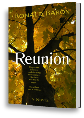 Reunion -A Novel