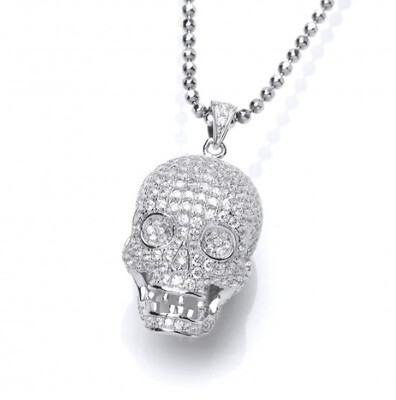 Silver Skull Pendant + 24" chain