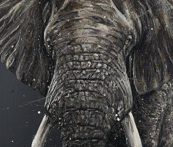 Gino (Roar 2020) by Paul Oz