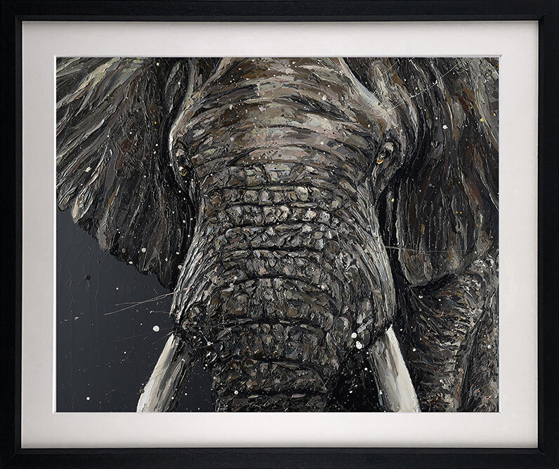 Gino (Roar 2020) by Paul Oz, Type: Ltd Edition Paper Print