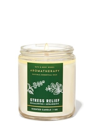Bath and body works single wick candle- stress relief 