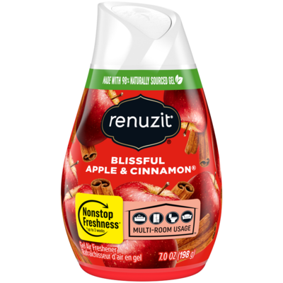 Renuzit Air Freshener- Apple & Cinnamon 