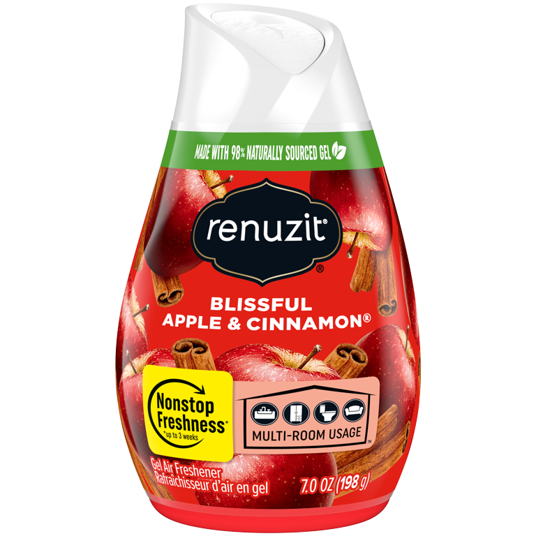 Renuzit Air Freshener- Apple &amp; Cinnamon 
