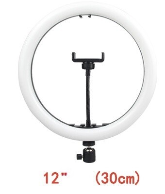 ARO DE LUZ 12&quot;