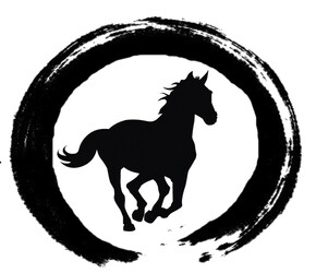 Samantha Salomon Horsemanship