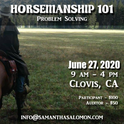 Horsemanship 101