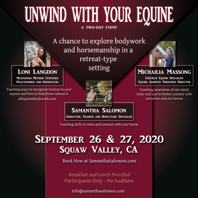 Unwind With Your Equine
