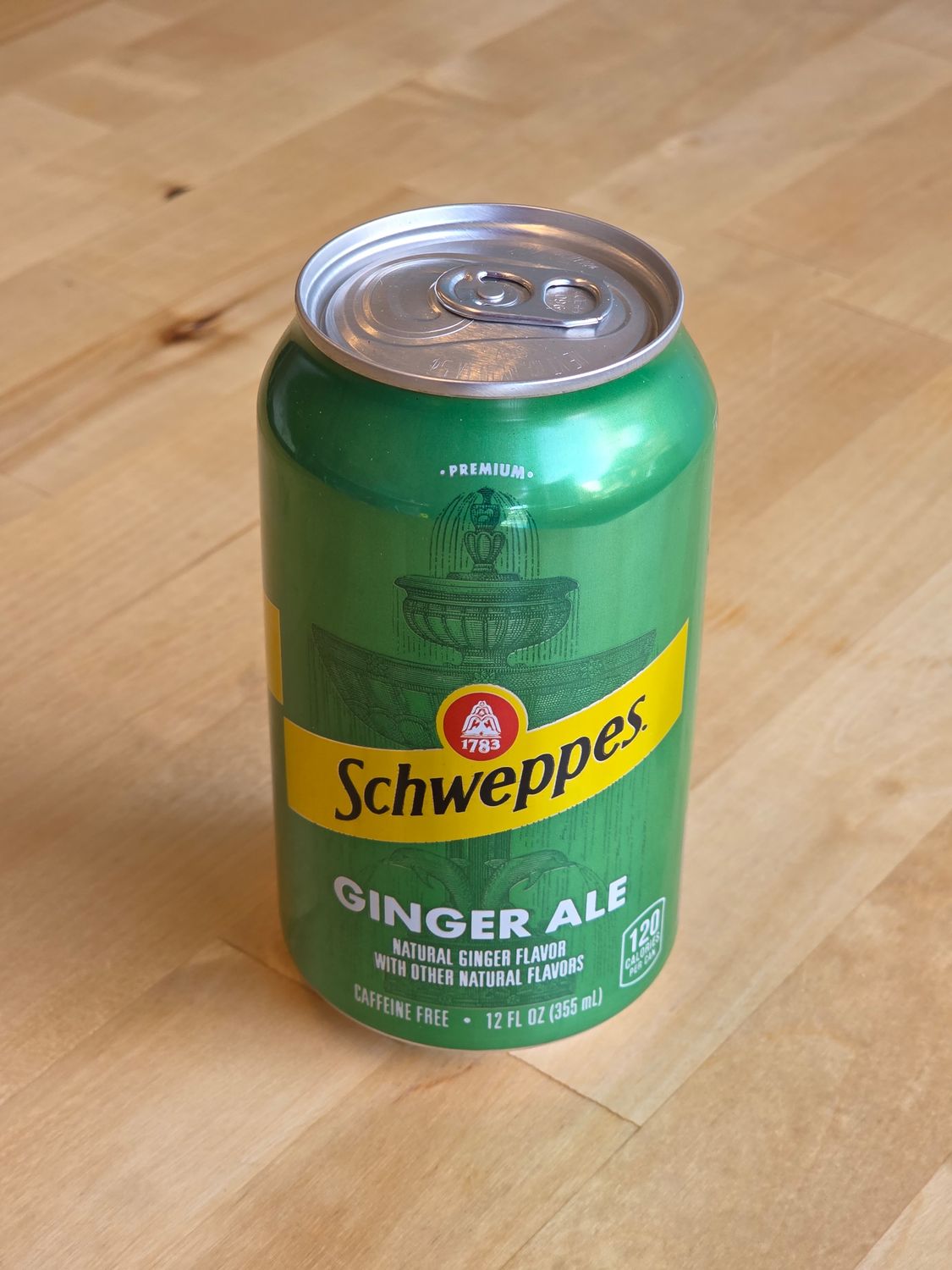 Ginger Ale (can)