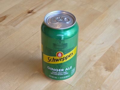 Ginger Ale (can)