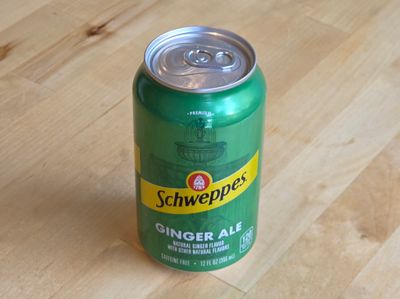 Ginger Ale (can)