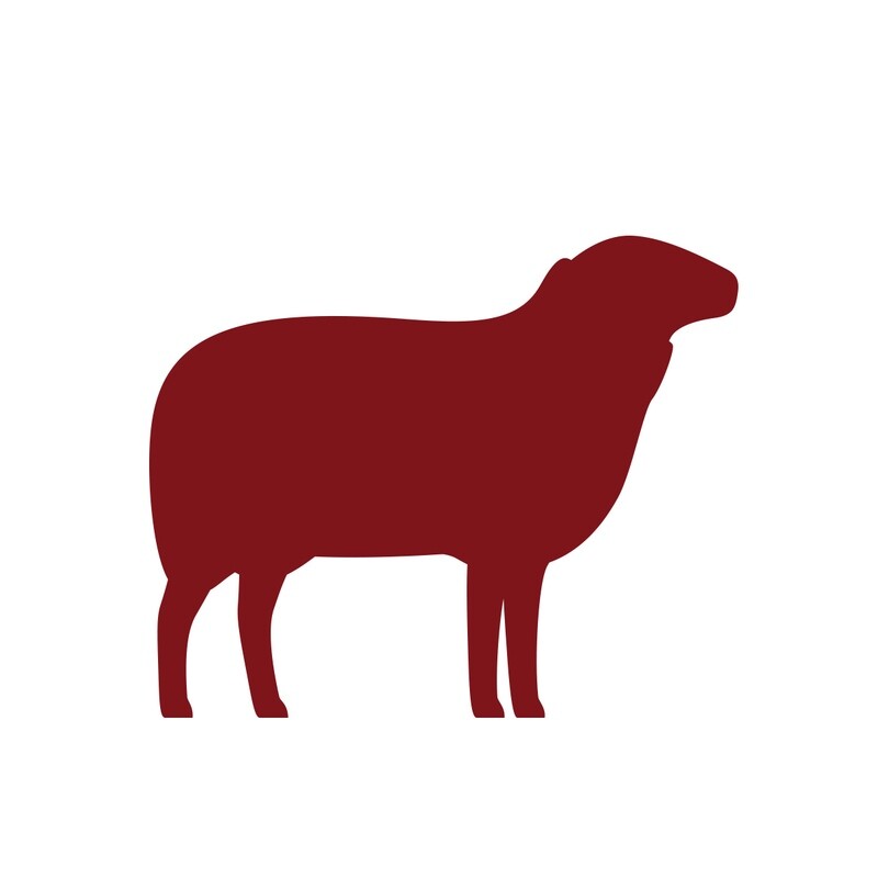 Brochette de filet d'agneau import