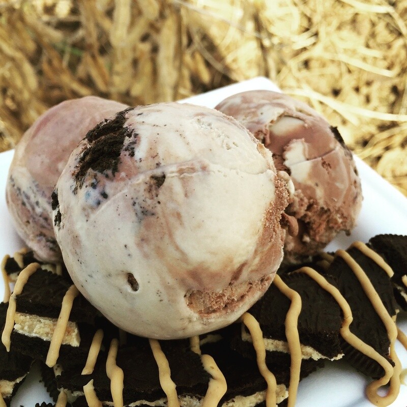 Chocolate Peanut Butter Bliss