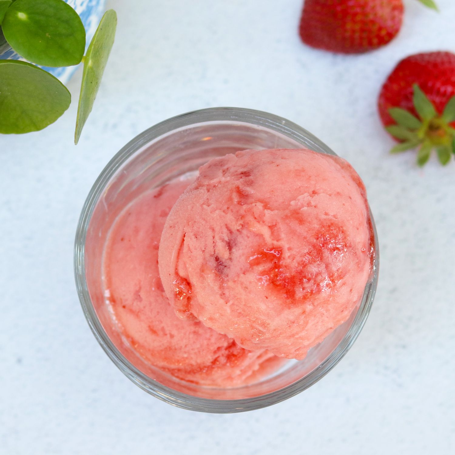 Summer Strawberry Sorbet