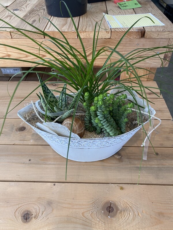 Blumenschale für die Wohnung