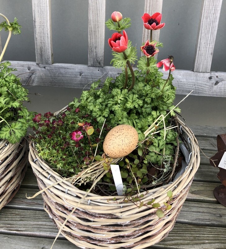 Blumenschale für Draussen
