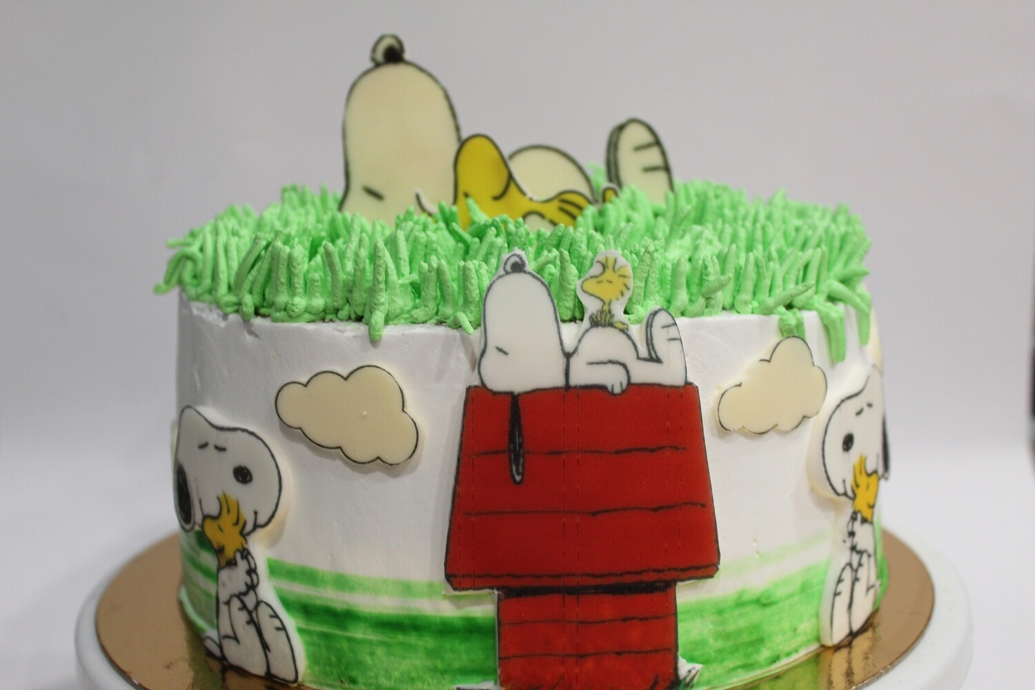 Pastel Snoopy desde 6 raciones