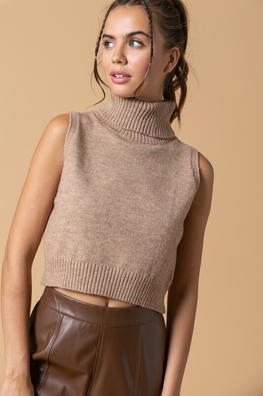 Alice Turtle Neck Knit Top