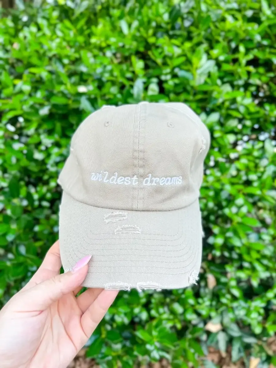 Wildest Dreams Vintage Baseball Hat