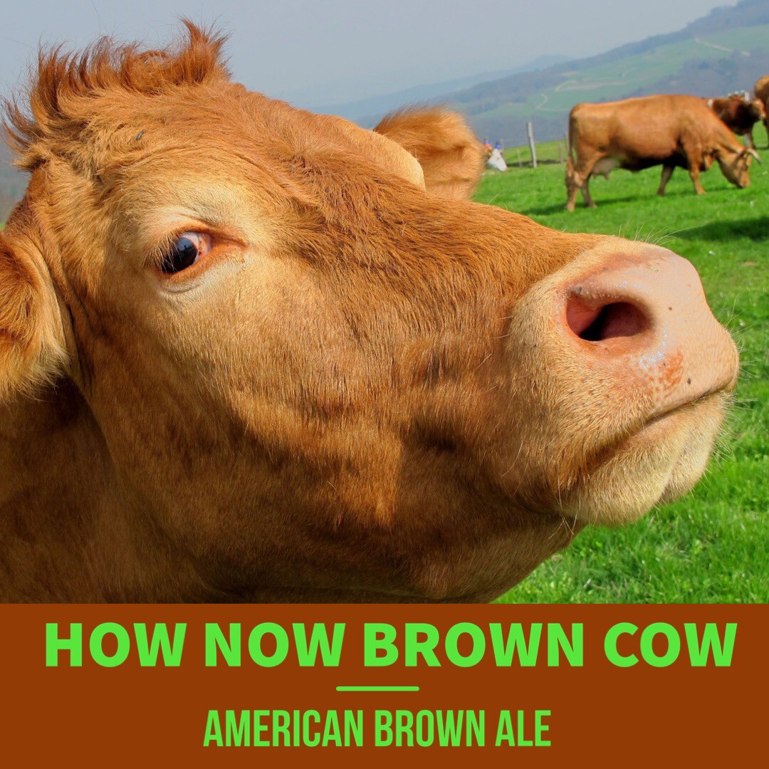 How Now Brown Cow - 16 Oz Can