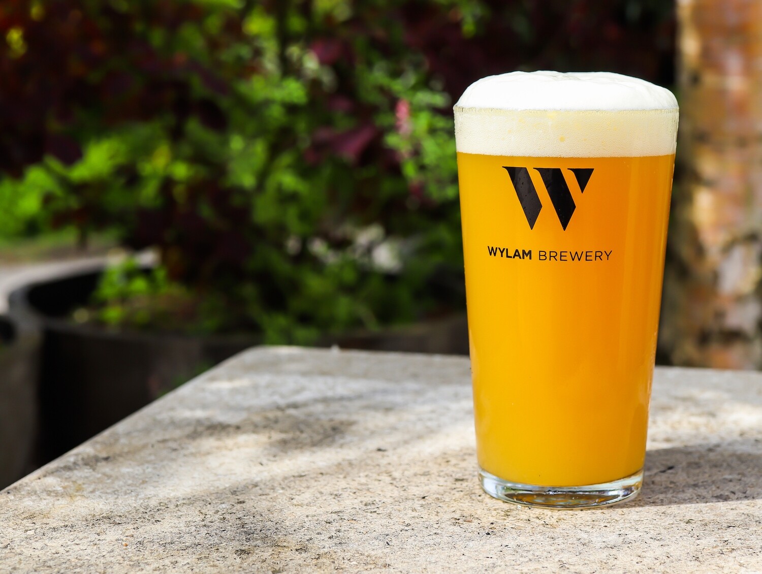 Wylam Pint Glass Buy Online Wylam Brewery