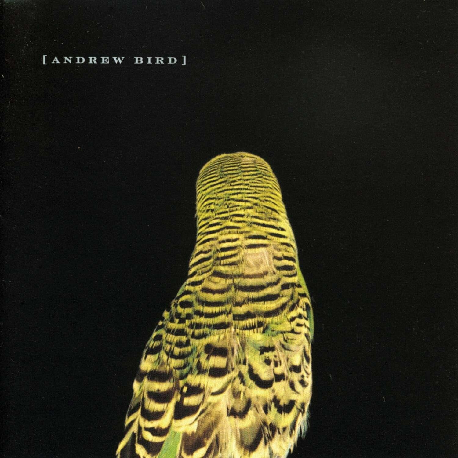 Andrew Bird &quot;Armchair Apocrypha&quot;