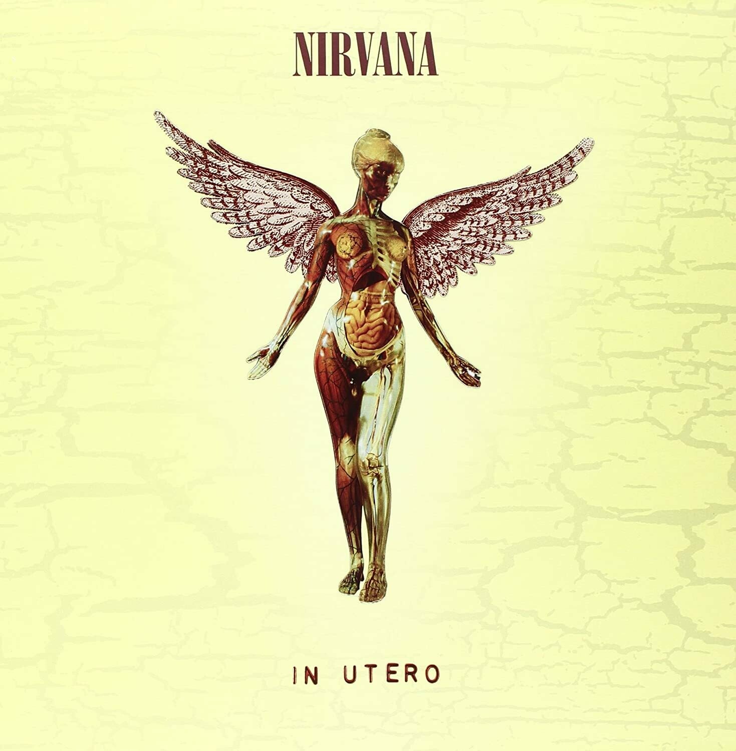 Nirvana &quot;In Utero&quot;