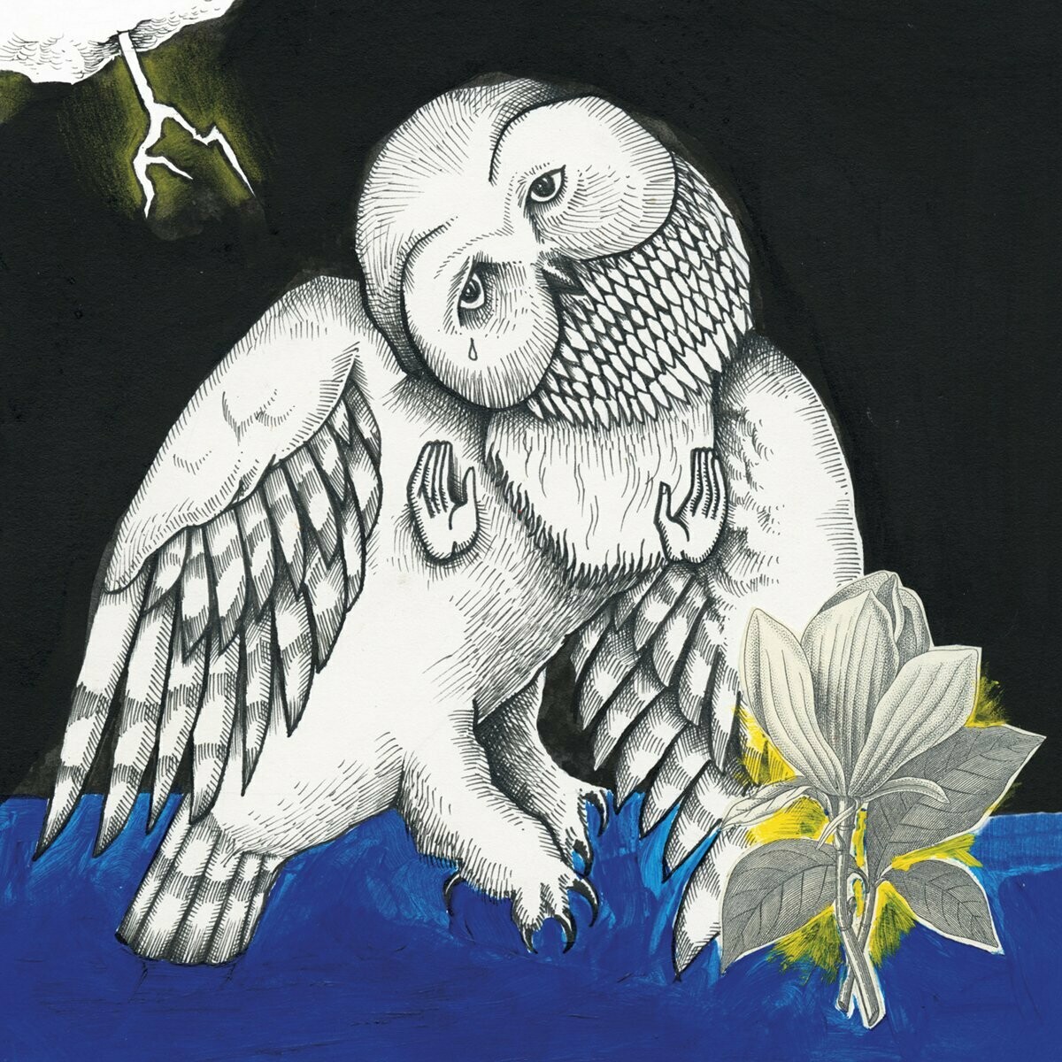 Songs: Ohia &quot;The Magnolia Electric Co.: 10th Anniv. Deluxe Ed.&quot;