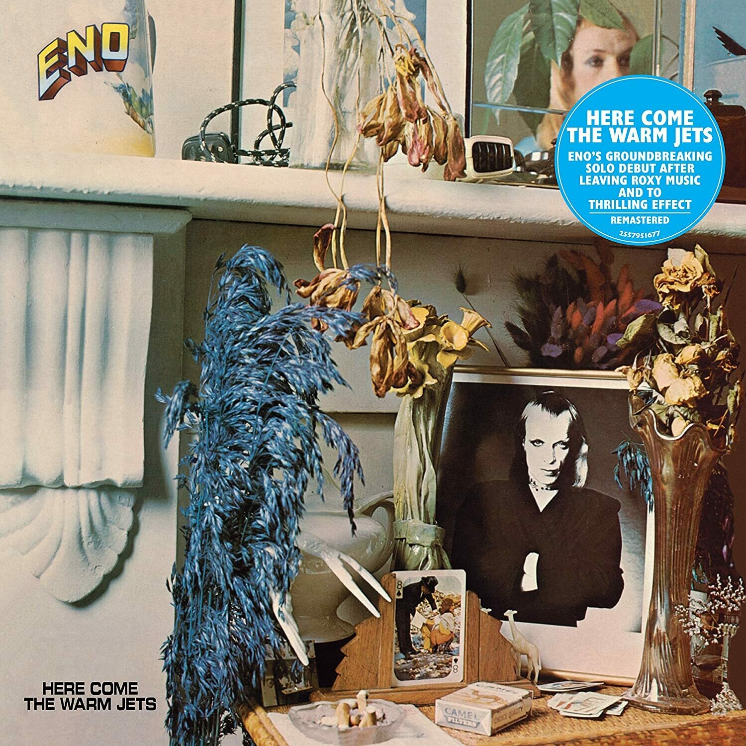 Brian Eno &quot;Here Come The Warm Jets&quot; 