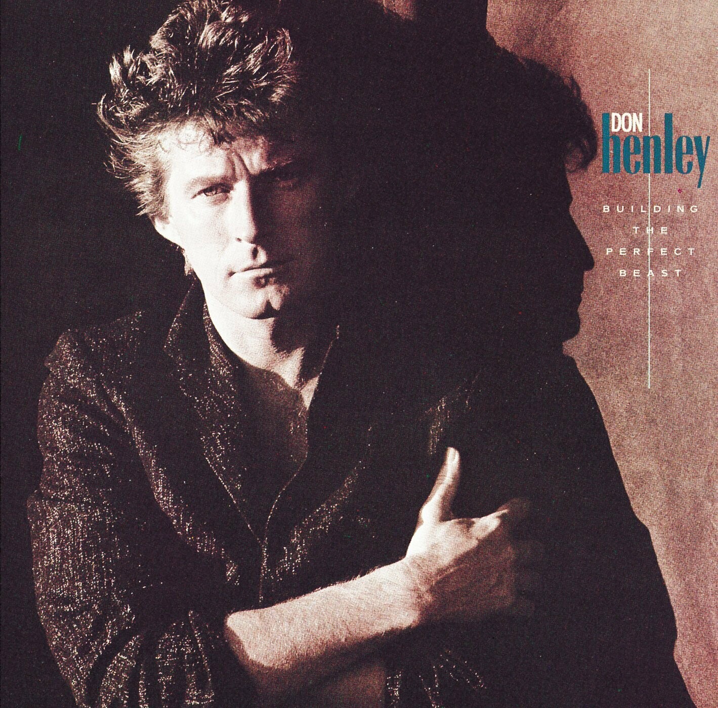 Don Henley &quot;Building The Perfect Beast&quot; EX+ 1984