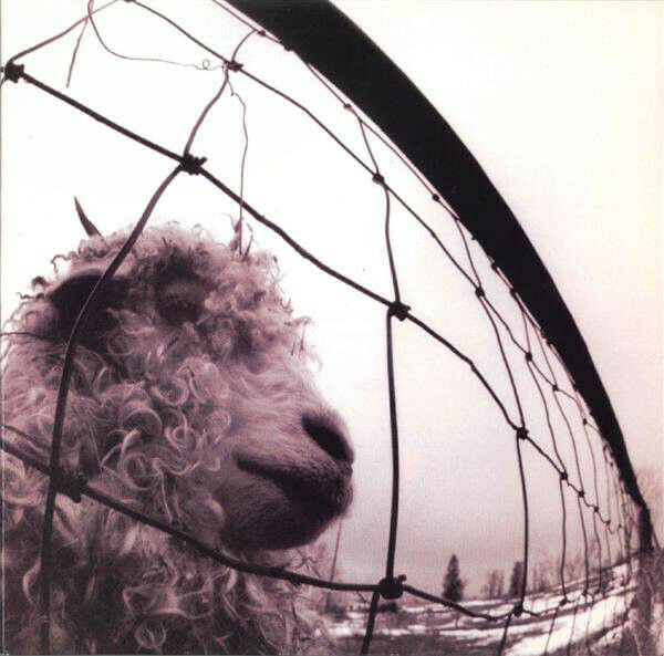 Pearl Jam &quot;Vs.&quot;