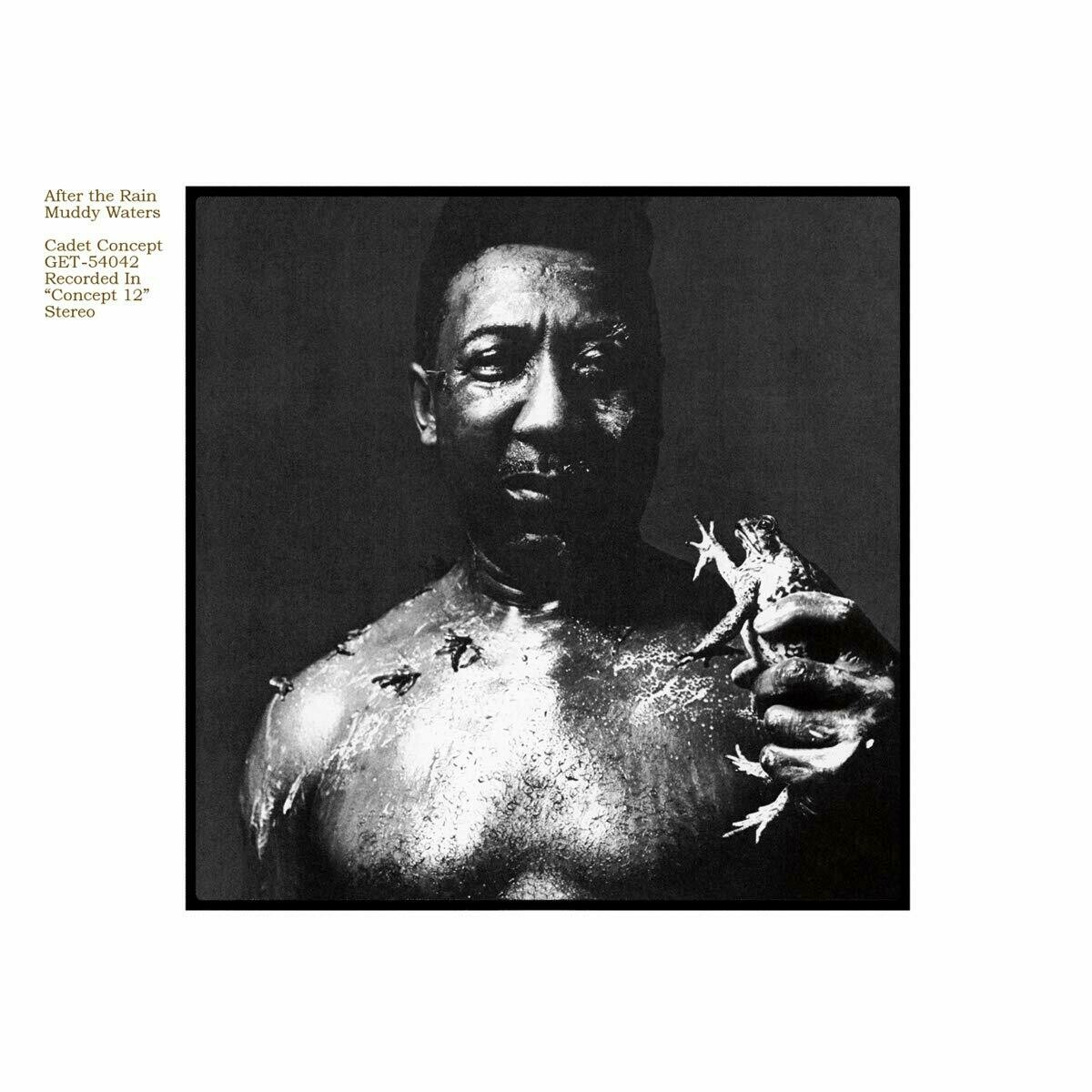 Muddy Waters "After The Rain" NM 1969