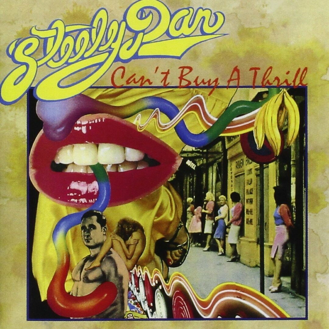Steely Dan &quot;Can&#39;t Buy A Thrill&quot; EX+ re.1980s [r5020513]