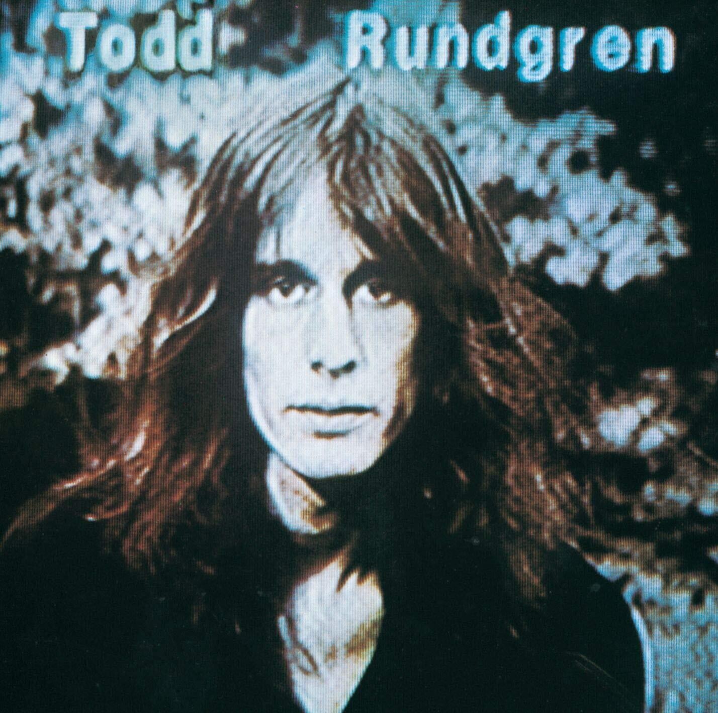 Todd Rundgren &quot;Hermit Of Mink Hollow&quot; EX+ 1978