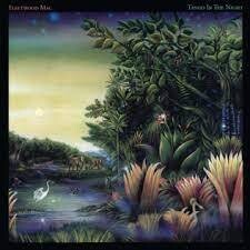 Fleetwood Mac &quot;Tango In The Night&quot; NM- 1987