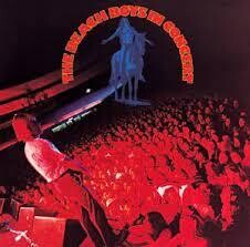 The Beach Boys &quot;In Concert&quot; EX+ 1976 {2xLPs!}