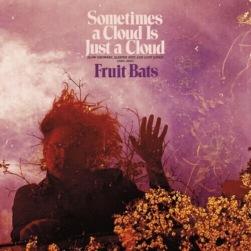 Fruit Bats "A Cloud Is Just A Cloud" *Deluxe 2xLP Pink & Violet Swirl*