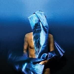 Devendra Banhart &quot;Flying Wig&quot; *bLuE ViNyL!*
