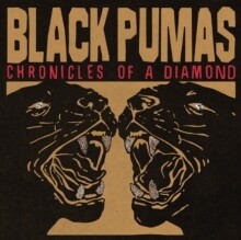 Black Pumas "Chronicles Of A Diamond" {Indie Excl.} *ReD ViNyL!*