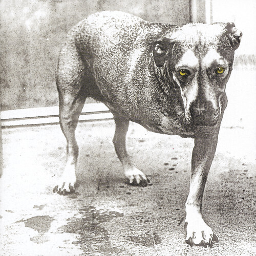 Alice In Chains ‎&quot;Alice In Chains&quot; *CD* 1995