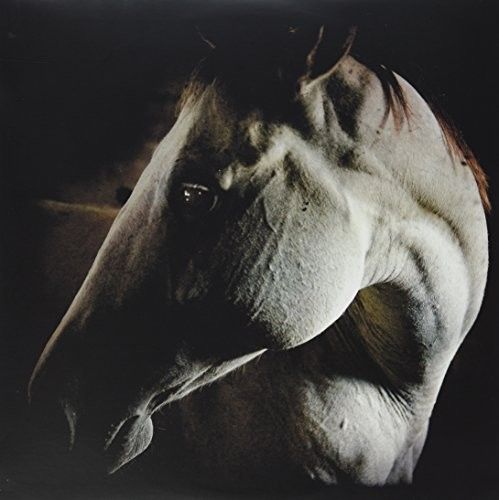 Brother Dege &quot;How To Kill A Horse&quot; {Ltd. Ed.} *wHiTe ViNyL!*