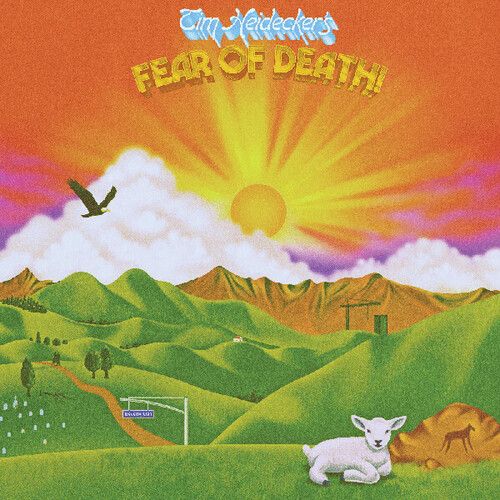 Tim Heidecker &quot;Fear Of Death&quot; *YeLLoW ViNyL!*