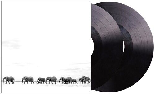 Dave Matthews Band &quot;Where Are You Going: The Singles&quot;