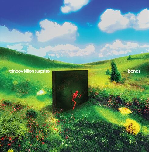 Rainbow Kitten Surprise &quot;Bones&quot; *Indie Exclusive, Banana Vinyl*