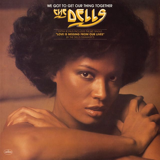 The Dells "We Got To Get Our Thing Together" NM 1975